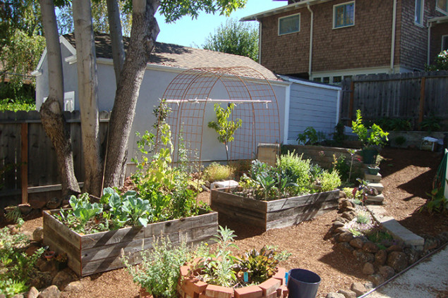 Edible gardens for low-income families and communities are subsidized by private clients who can pay full price.